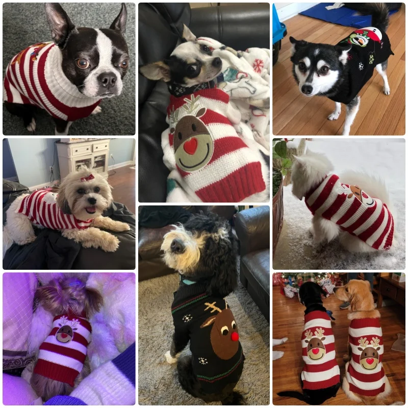 Fashion Dog Sweater Winter Warm Dog Clothes Christmas Puppy Turtleneck Cute Print Cat Sweater Pet Outfits Chihuahua Dog Supplies