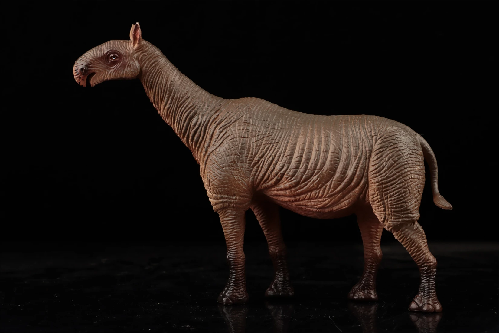 Earth Story スタジオ Paraceratherium モデル先史時代の動物フィギュアコレクションシーンの装飾誕生日ギフトのおもちゃ