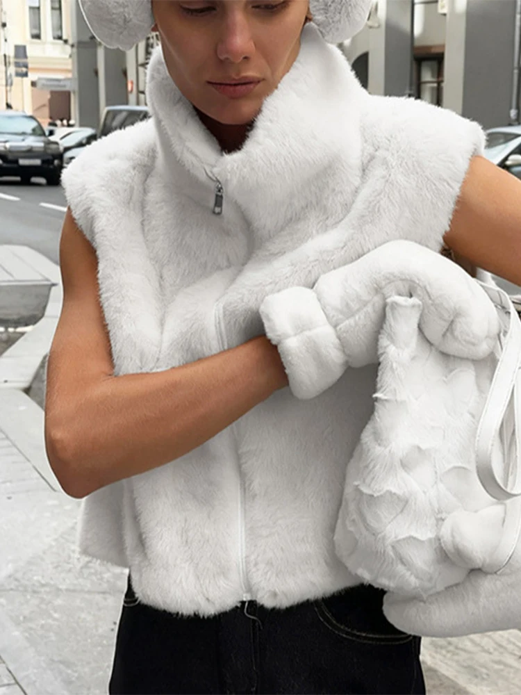 

Trendix Light Luxury Faux Fur Vest Women Winter High Neck Sleeveless Zipper Tank Top Street Solid Casual Party Elegant Warm Coat