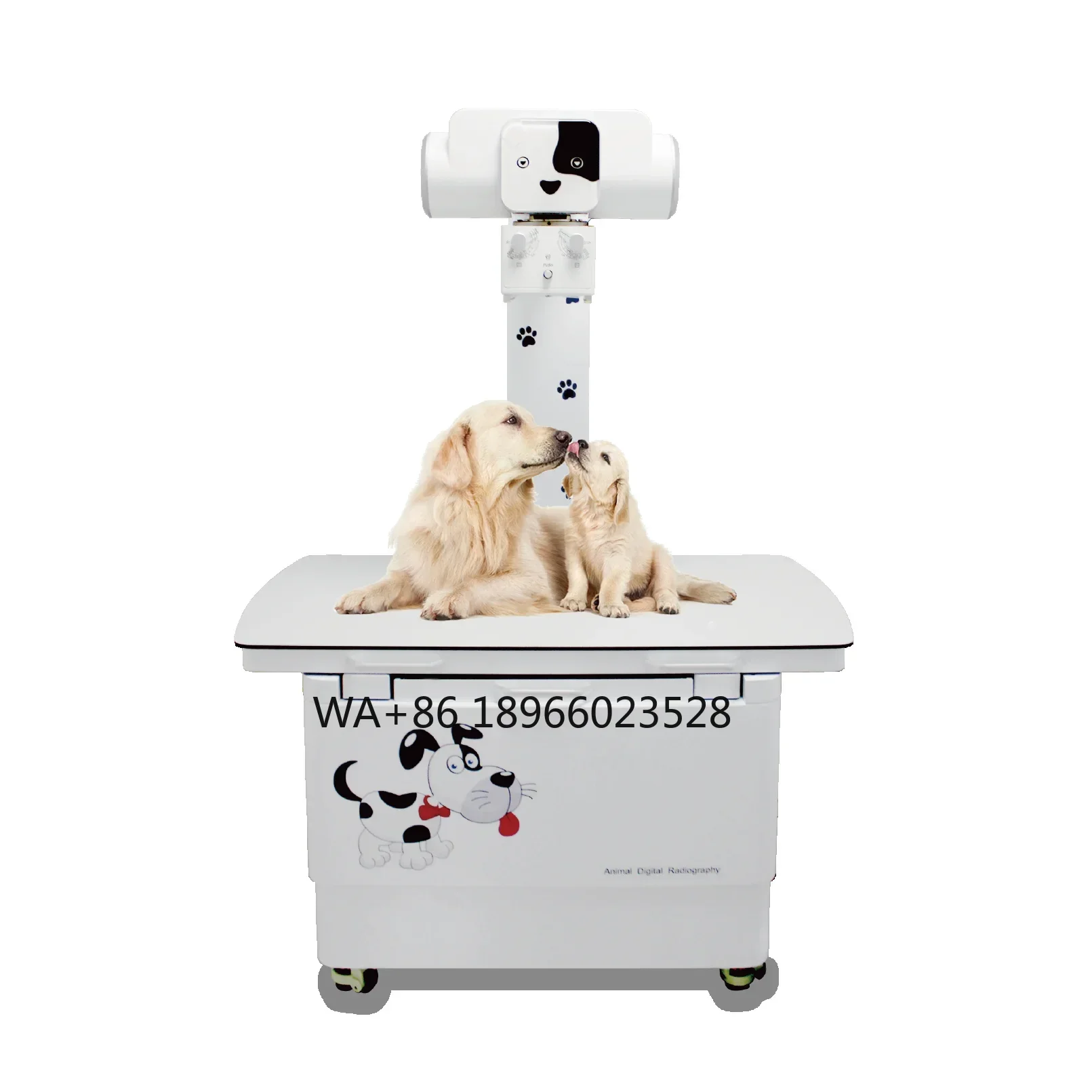 X Ray Machine 20kw 200ma DR Pet X Ray Machine Ysenmed Medical Digital X-ray Machine Special For Veterinary Hospital Vet Animal