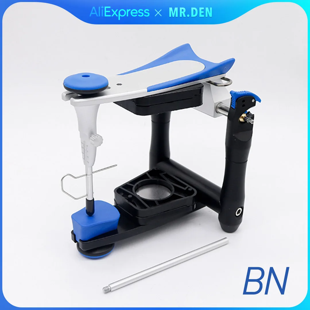 Dental Artex BN Model Functional Articulator Teeth Model Accurate Scale Mouth Adjustable Denture Articulator