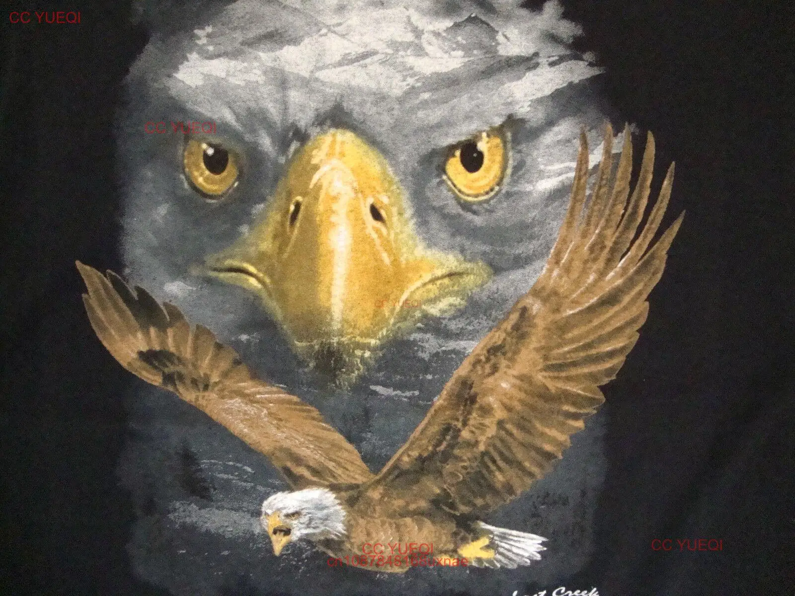 Наружная одежда Lost Creek Outfitters, черная футболка с изображением орла, птицы, дикой природы, 2XL