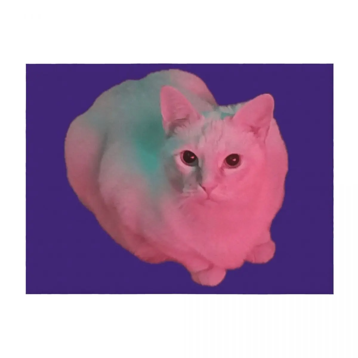 

Mayonnaise cat Throw Blanket Soft Plush Plaid Heavy Sofa Throw wednesday Blankets