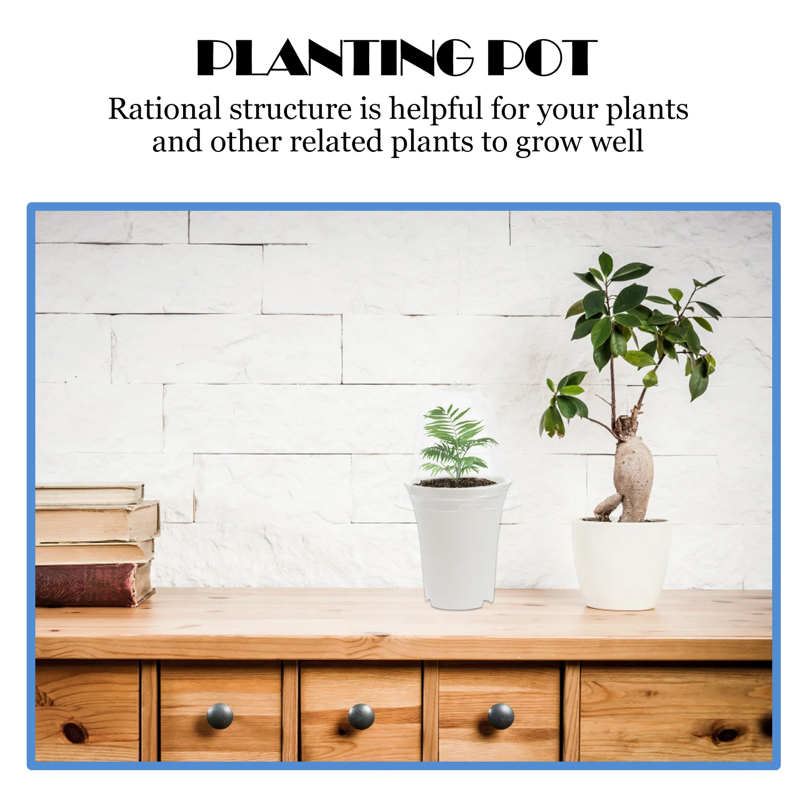 

2pcs Plastic Flower Pots Succulent With Lid Garden Planter Durable Sturdy Eco-Friendly Gift For Planting Lovers