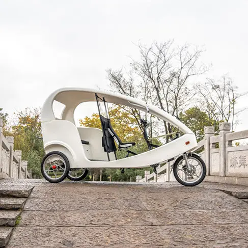 Wholesale 1000watt Electric Push Three Wheeler Adult Tricycles for Passenger