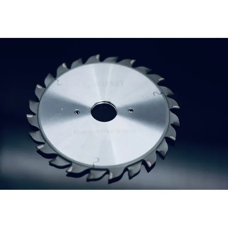 PCD Adjustable Scoring Saw Blade 120X20X2.8-3.6 Z12+12 for Single or Double Sided Plastic Laminated Panels MDF