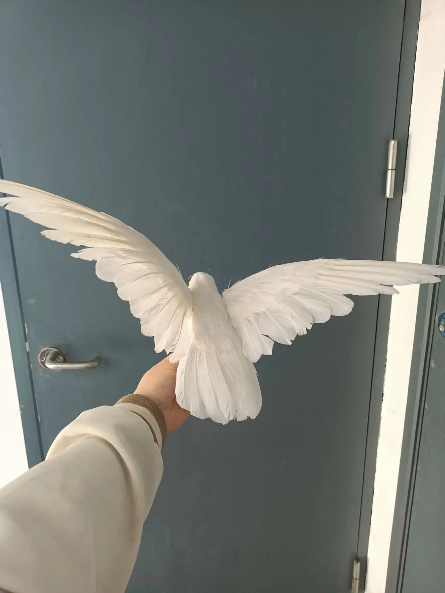 cute simulation foam&feathers wings dove model toy garden decoration gift About 30x50cm e2661