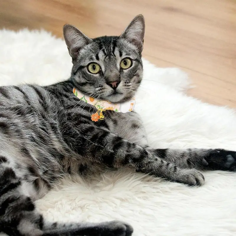 ベル付き猫の首輪,花のペンダント,子猫用,調節可能,男の子用,屋外ペット用