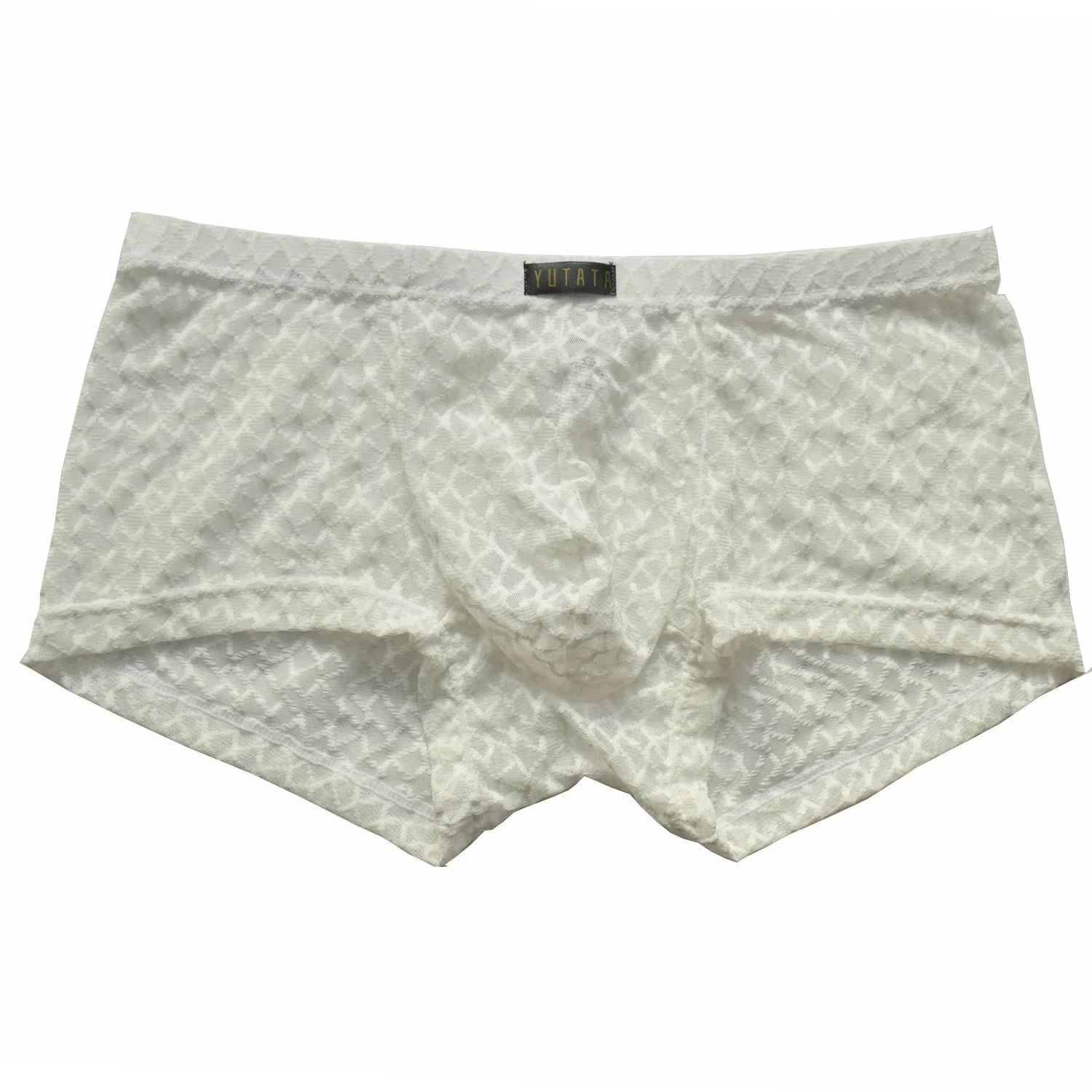 Men's Sexy See-Through Lace Boxer Briefs Transparent Mesh U Covnex Pouch Boxy Underwear Breathable Knicker Gay Erotic Underpants