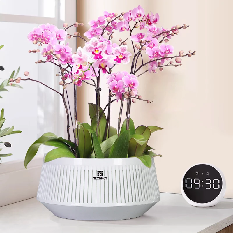 Meshpot-Orchideentopf mit Löchern, Blumentopf aus Kunststoff, dekorative afrikanische violette Töpfe mit Luftschnitt und guter Luftzirkulation – Detail 13