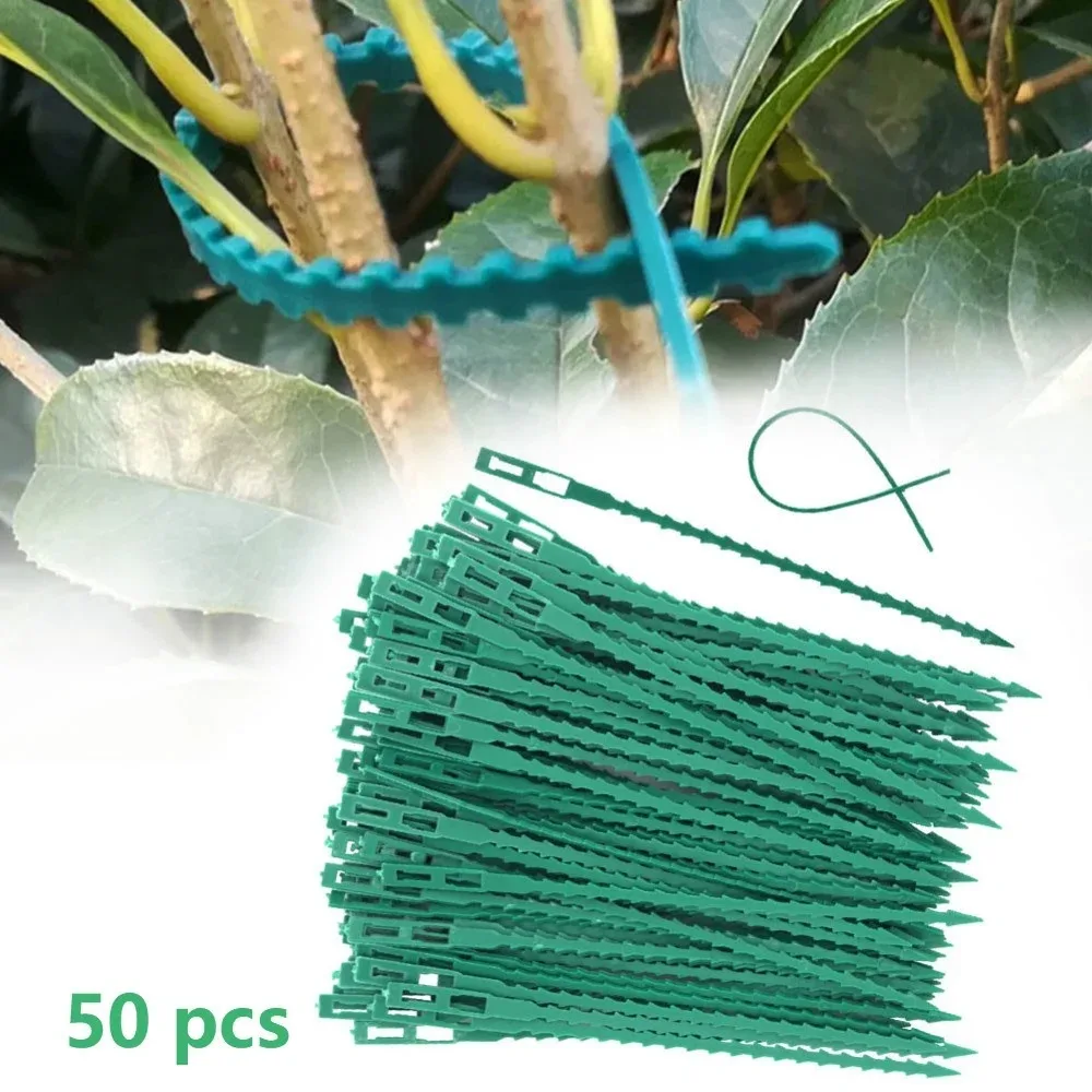 50 Uds. Bridas de plástico ajustables para cables de plantas, bridas para cables reutilizables para jardín, árbol, soporte para escalar plantas, vid, tomate, Clip para tallo
