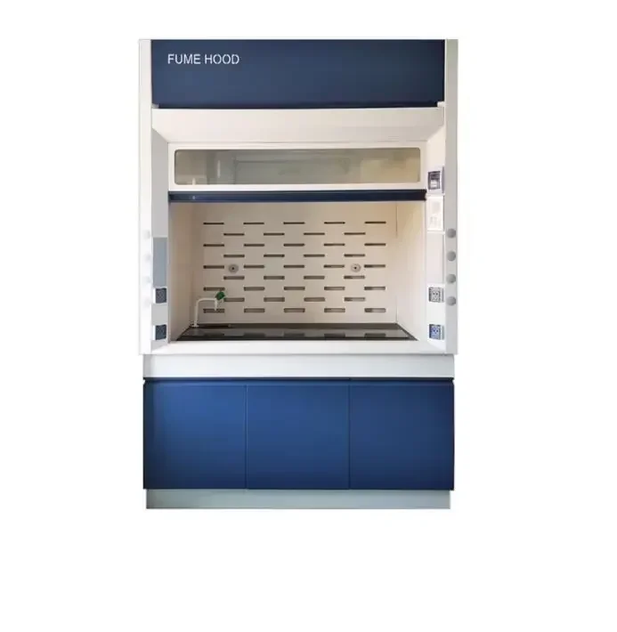 All Steel Gas Extractor Ductless Lab Fume Hood Medical OEM Firm Durable Laboratory Chemical Price For Scientific Lab