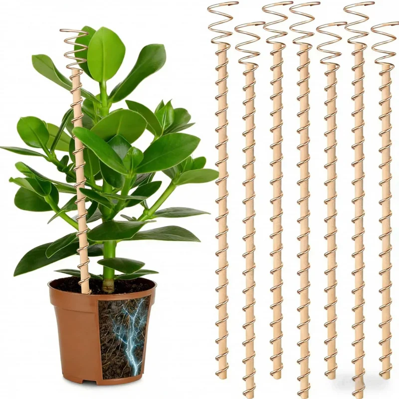 

Home Gardening Plant Growth Tent6-12pcsPlanting Fixing Tool Bracket12inch copper support column