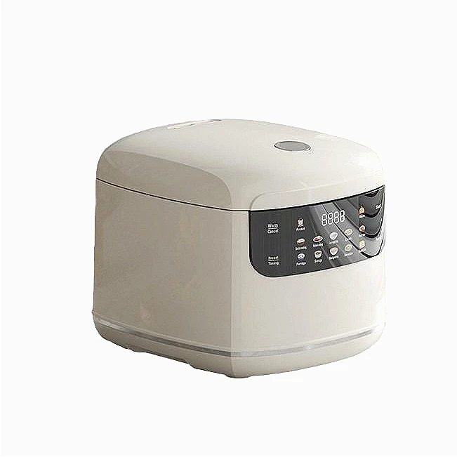 2L Mini Multi-functional Electric Rice Cooker Timing Reservation 110V 220V Household Cooking Pot