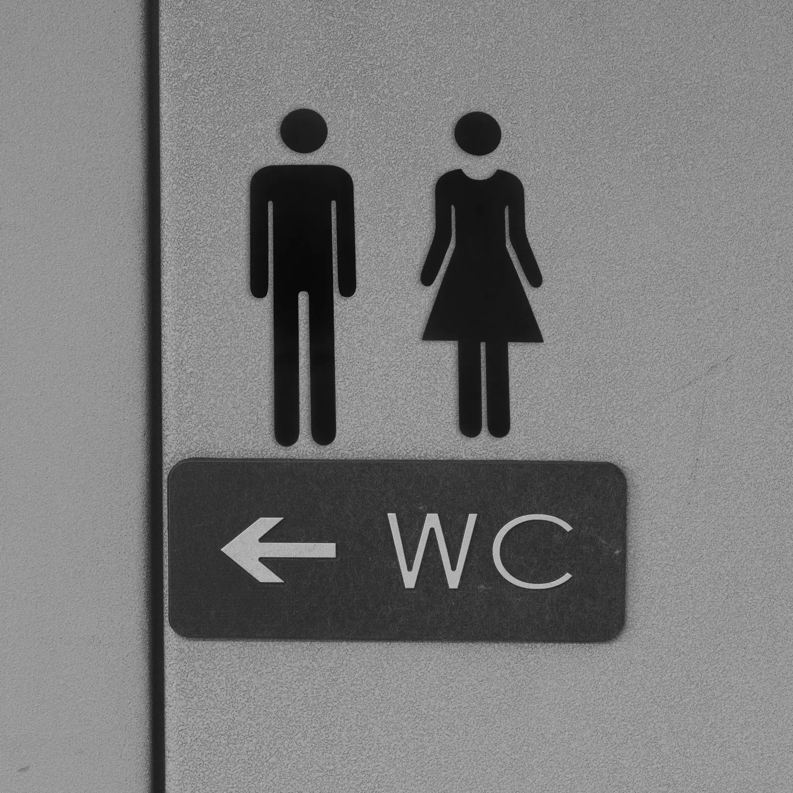 2Pcs Acrylic Washroom Sign Bathroom Toilet Identification Plate for Door Shop Office Restroom Decoration Ladies Toilet Sign