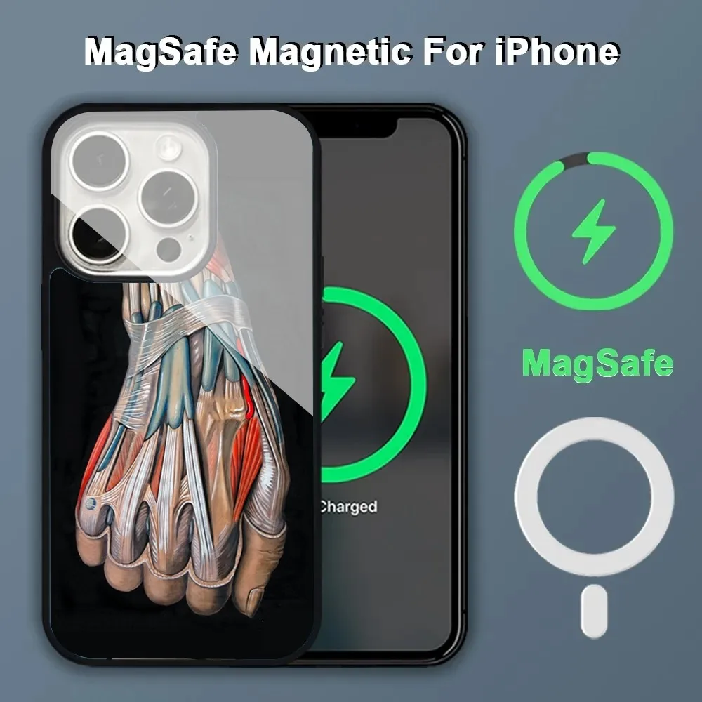 Medical Human Organs Brain Meridian Kidney Art Phone Case Alex Mirror For Magsafe Wireless Charging Caver For IPhone 13 14 15 Pr