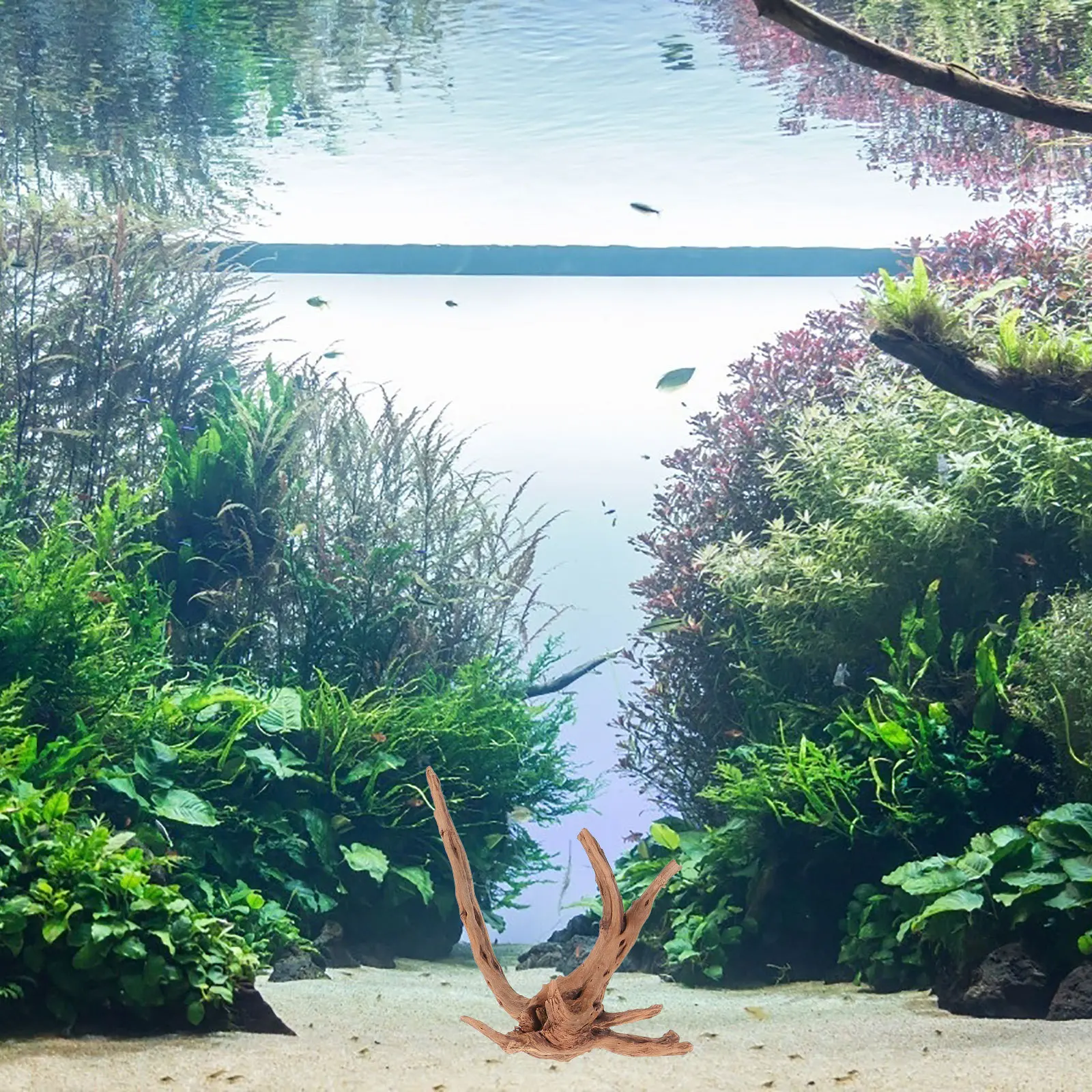 

3Pcs Fish Tank Driftwood Natural Crafts Realistic Aquarium Underwater Decorations Wood Ornaments Driftwood for Aquarium