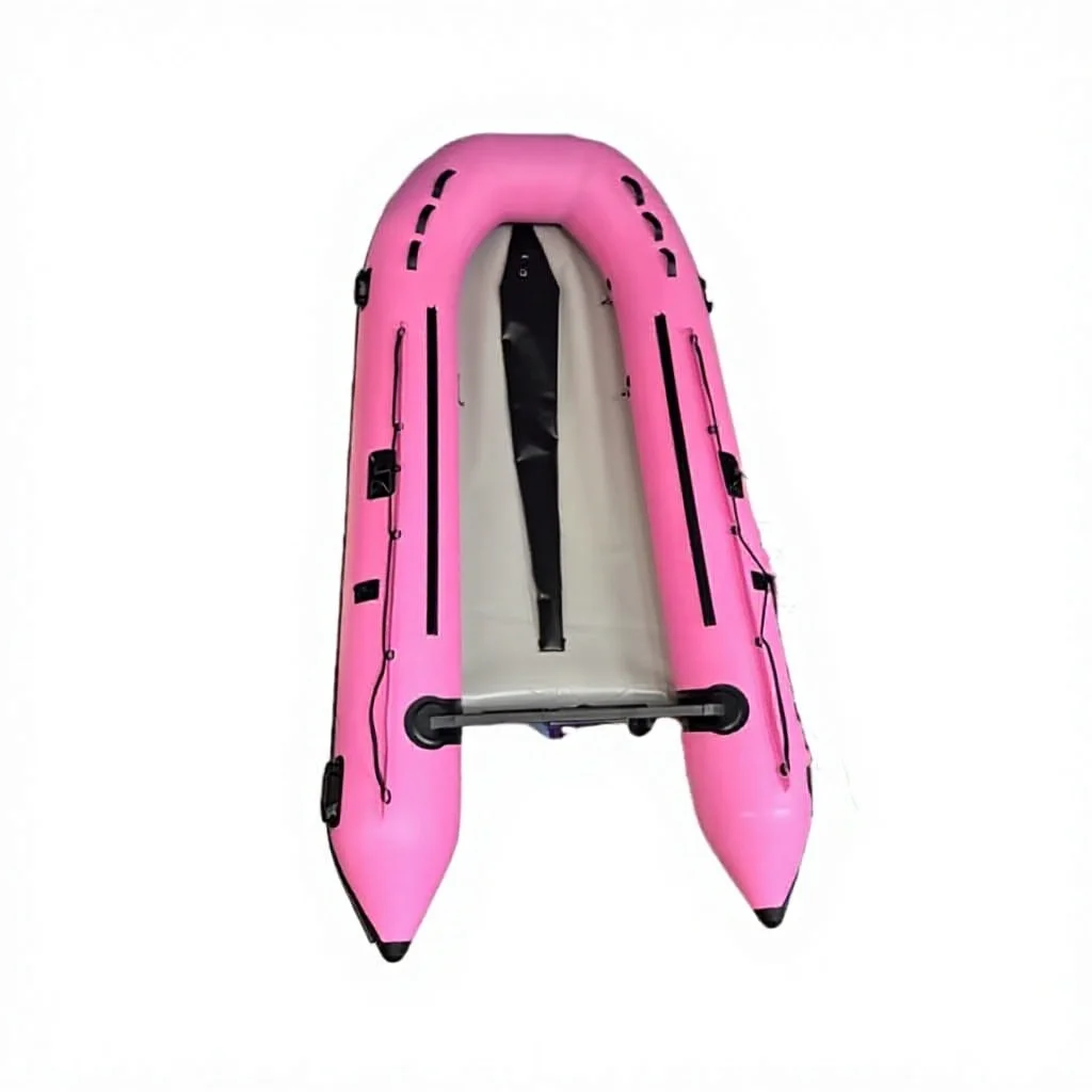 

Brand New 3 Meter Aluminum Alloy Bottom PVC Material Inflatable Rubber Boat for 4 People Kayakingpromote sales