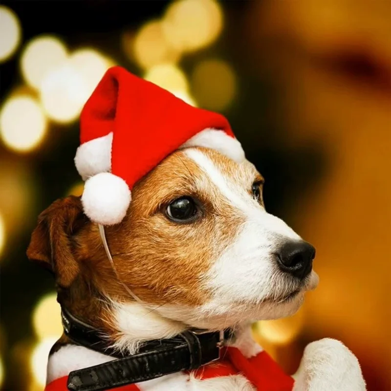 Christmas Red Plush Pet Santa Hat Cute Party Costume Cap for Dogs & Cats Plush Pet Photoshoot Decoration