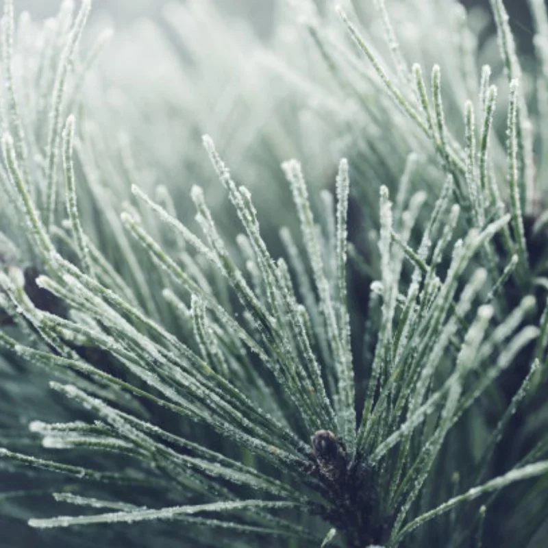 

4 Pcs Aluminum Alloy Beadlock Wheel Rim Wheels Hubs for 1/18 TRX4M/1/24 SCX24 AX24 RC Crawler Car Wheel Hub RC Upgrade Accessory