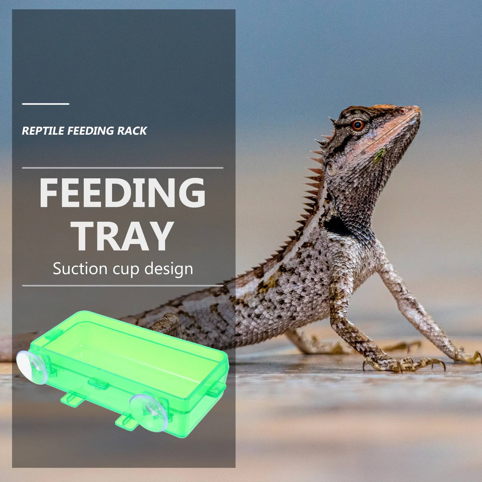 

2Pcs Anti Escape Reptile Bowls Suction Cups Plastic Long Lasting Easy Clean Gecko Worm Dishes Pet Supplies Accessories