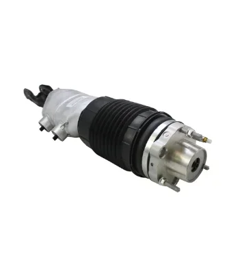 Front Air Suspension For Panamera 971 Airmatic Shock Absorber Strut 971616037D 971616037G 971616038D 971616038G
