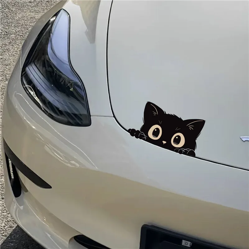 Car Electric Bicycle Sticker Accessories Poor Cat Is Stealing with Big Eyes Watch Vinyl Car Styling Cover Waterproof Decals