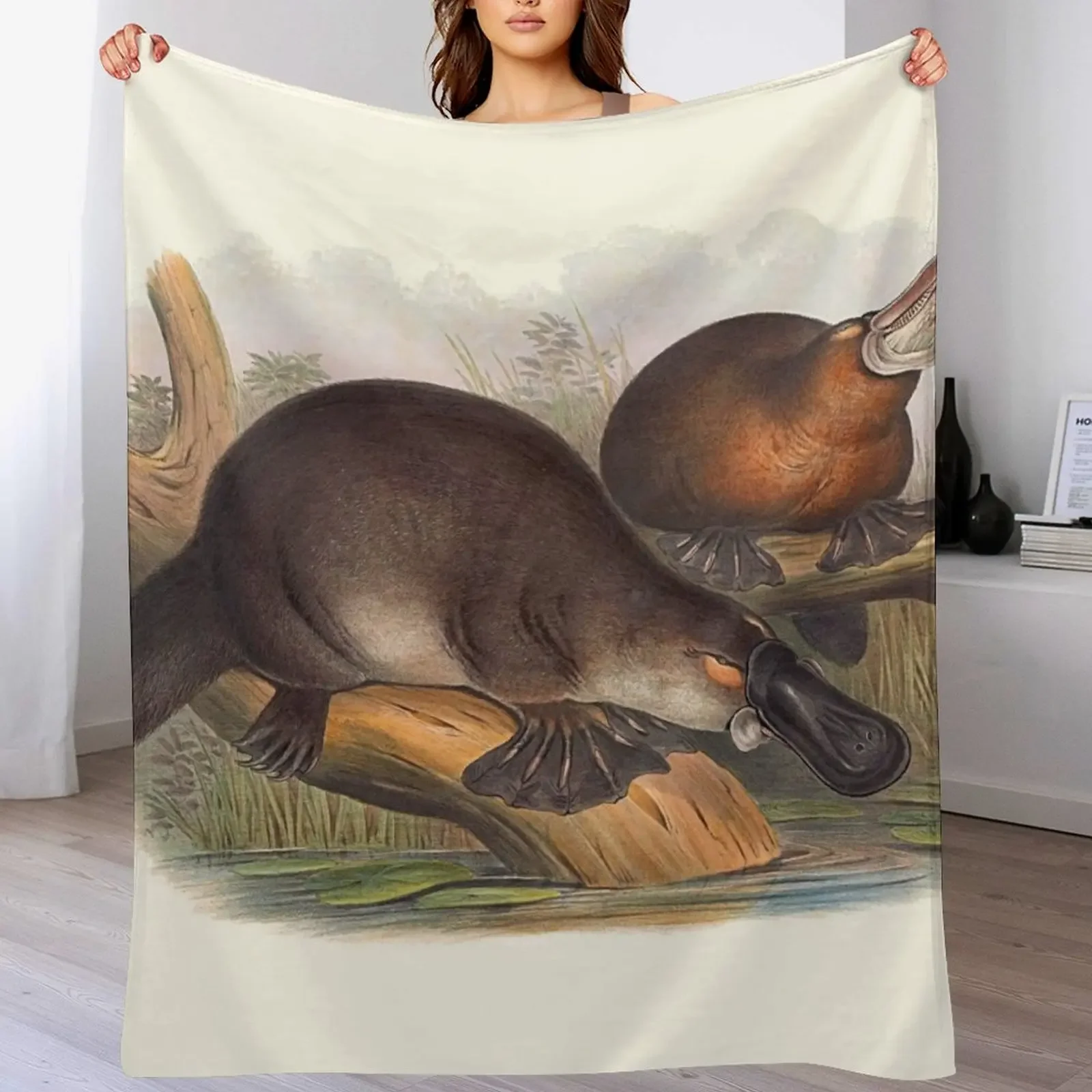 Animals Of Australia The Duck Billed Platypus Throw Blanket Moving Sofa Quilt Soft Big Beautifuls Blankets