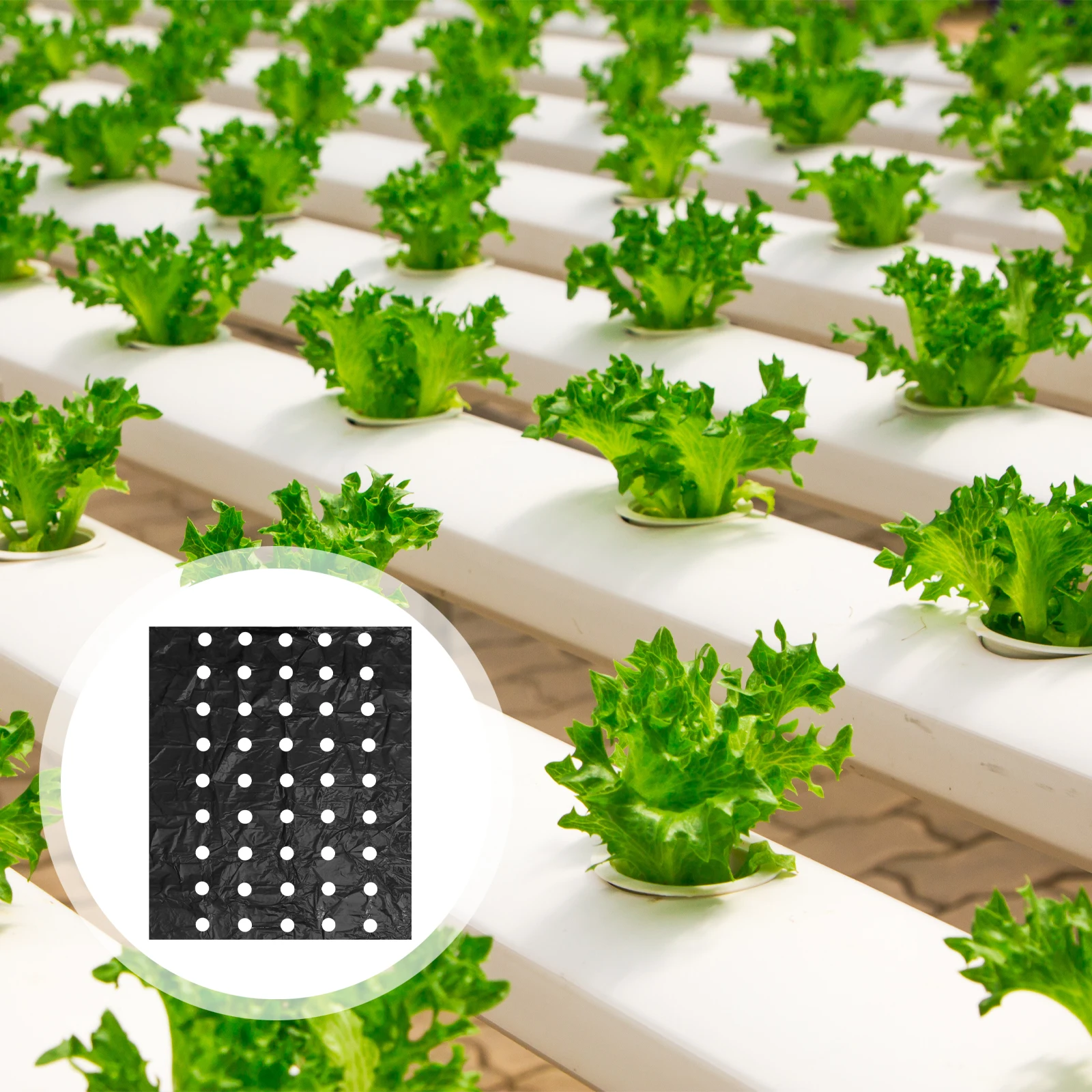 

1 Roll Super Tough Perforated Mulching Film Pe Plastic Agricultural Weed Suppression 95cmx1000cm