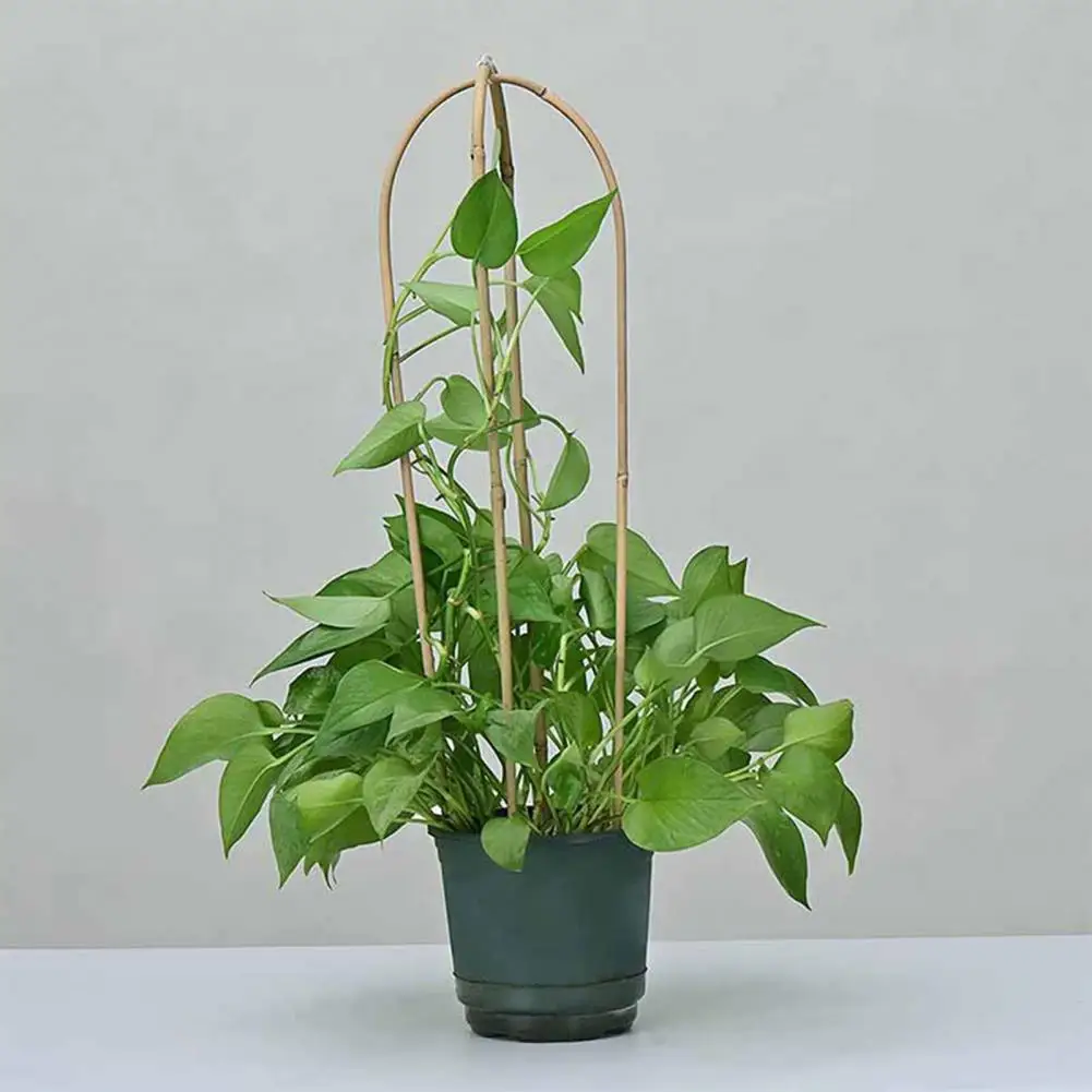 10Pcs/Set Practical Eco-friendly Potted Plant Support Strong And Sturdy Indoor Mini Climbing Plants Support Vertical