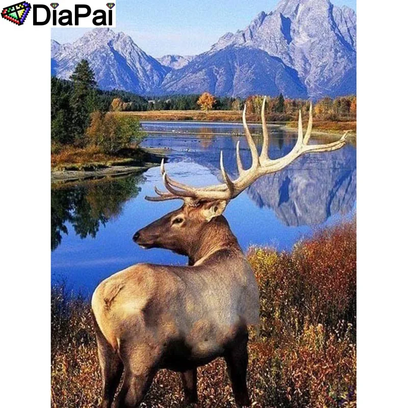 DIAPAI Diamond Painting 