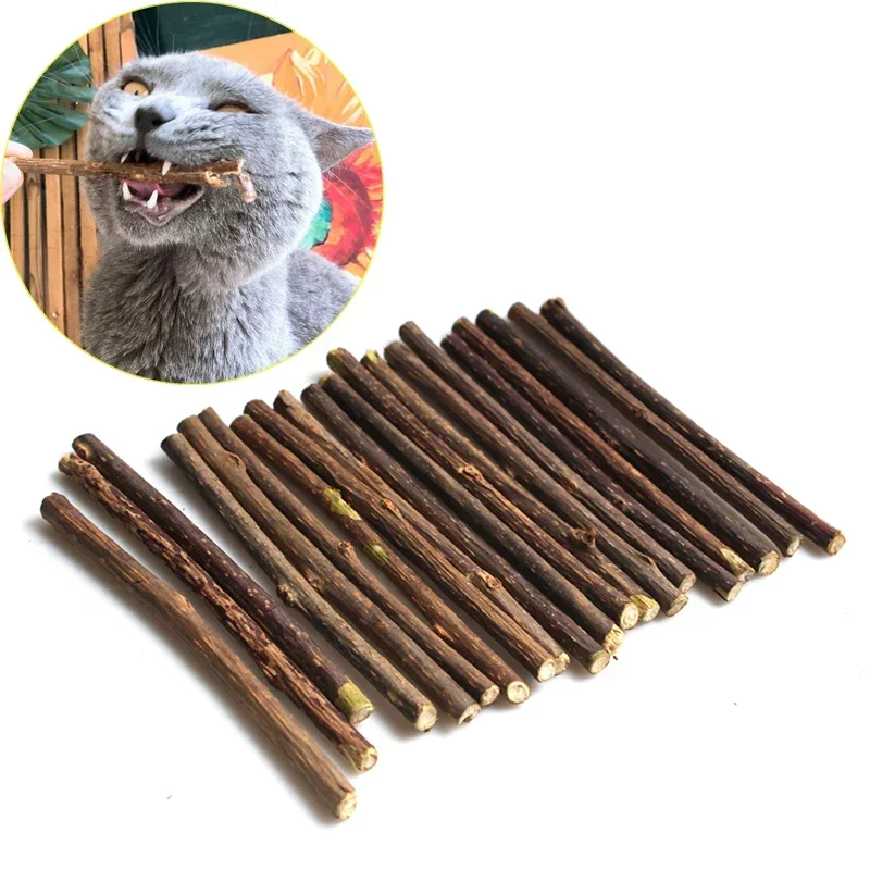 Natural Catnip Pet Cat Molar Toothpaste Stick Matatabi Actinidia Fruit Silvervine Cat Snacks Sticks Pet Cleaning Teeth