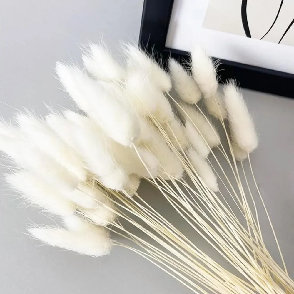 60Pcs Dried Lagurus Bunny Tails Pampas Grass Decor Home Cake Decor Rabbit Tails Dried Flowers Bouquet for Boho Table Decoration