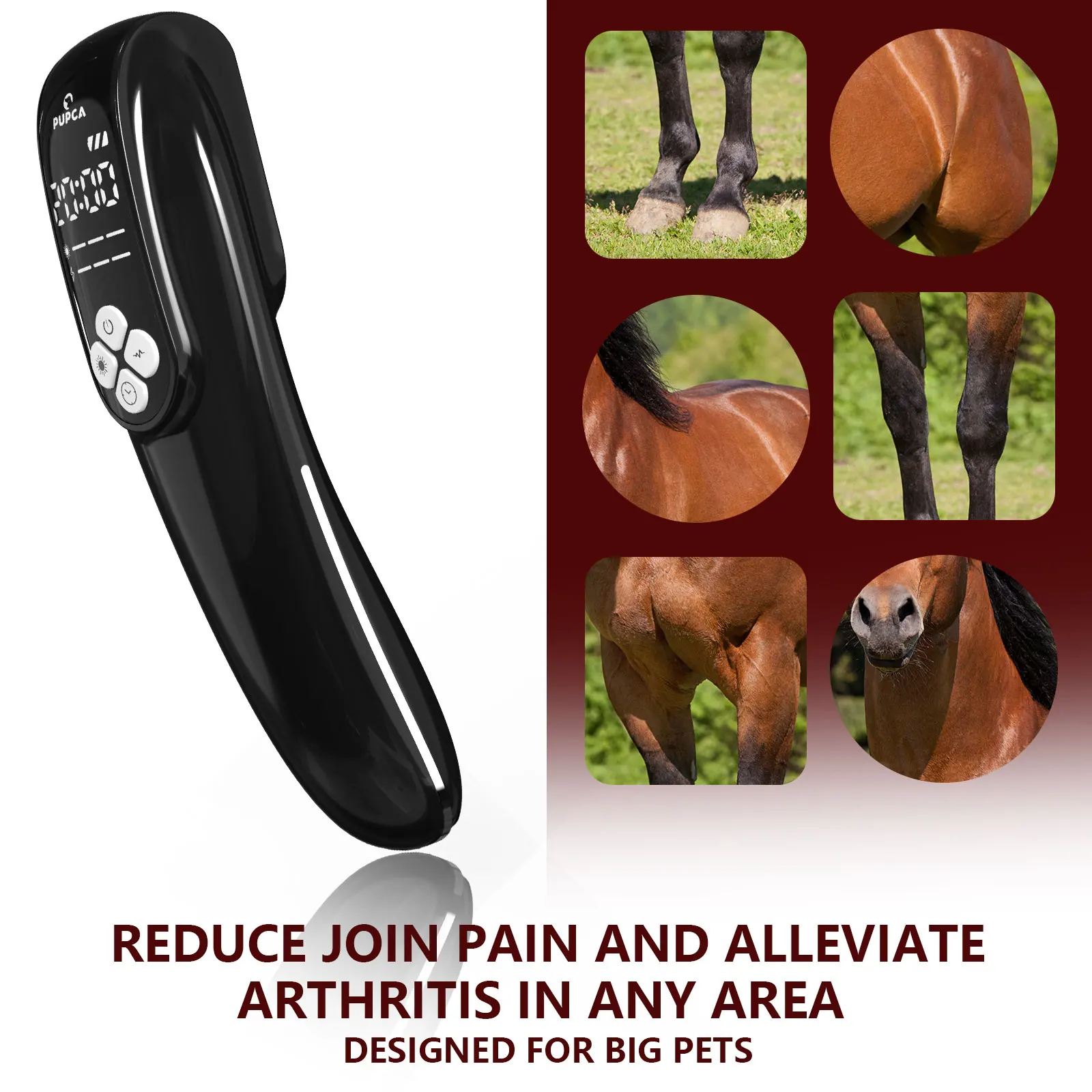 4x808nm Laser Therapy Device for Horse Pets Humans Upgraded 3in1 Red Light Therapy Device Muscle Recovery Joint Pain Relief Skin Health Care Portable Veterinary Equine Dog Care Pain Relief Machine Body Healing Tool - view 5