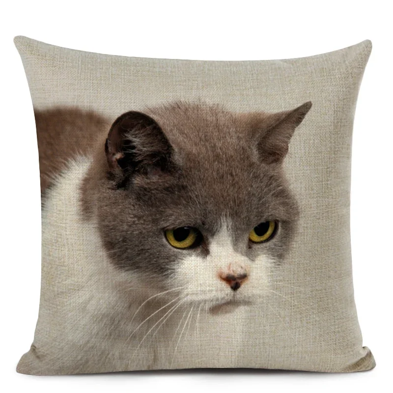 Pet Cat Print Throw Pillow Case Cute Shorthair Decorative Cushion Cover for Home Decor