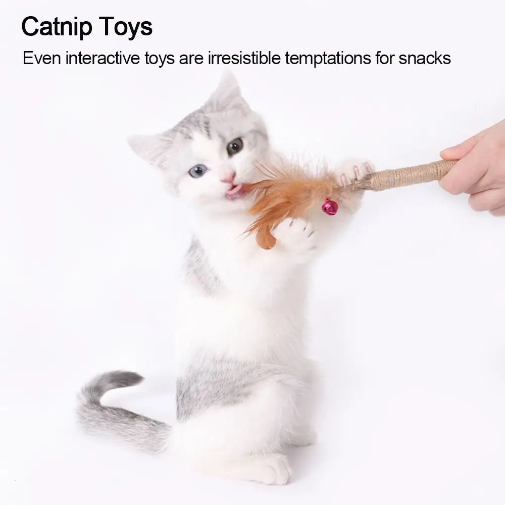 Indoor Toys Cat Toys Chew Toy Cat Crack Cat Wall Toy Wellness Cat Food Silvervine Sticks Cat Chew Sticks Catnip Toys