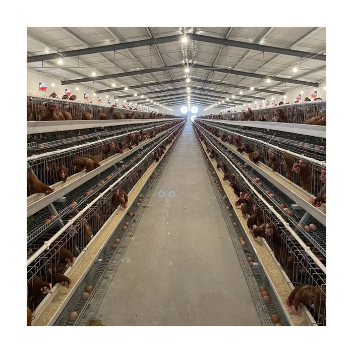 Best Sell Automatic Feeders Layer Hens Battery Chicken Farm Laying Bird Cage For Layer Animal Husbandry Equipment