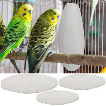 오징어 세피아 뼈 앵무새 씹는 오징어 뼈, 새 음식, 칼슘 픽스톤 잉꼬, 토끼, 오징어 장난감, 10 개 