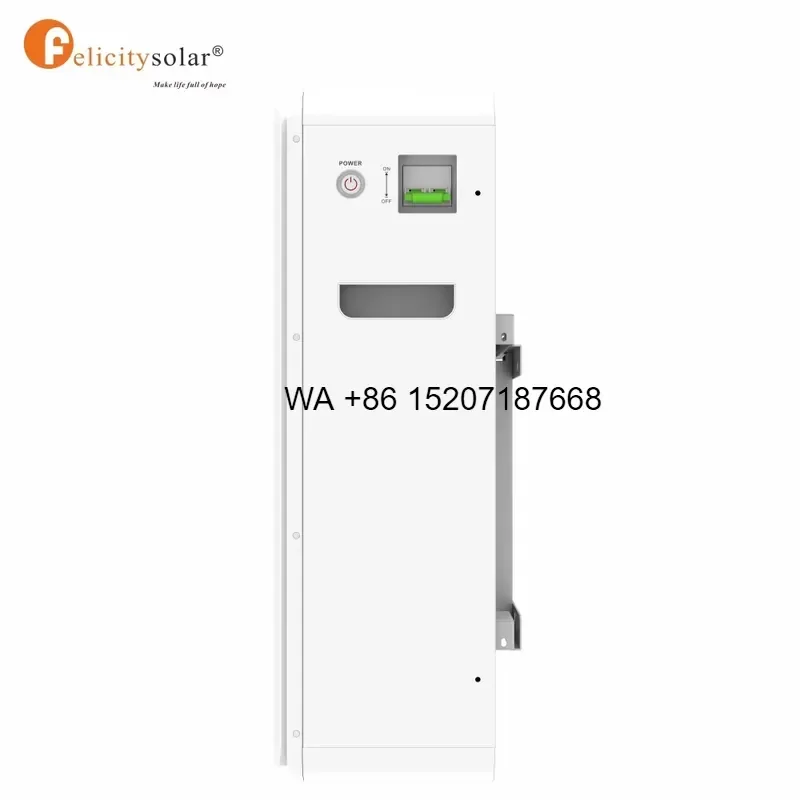 Wmwmnu for Felicity Solar 48V 51.2V Lithium Iron Phosphate Battery with BMS Protection 6000 Cycle Life