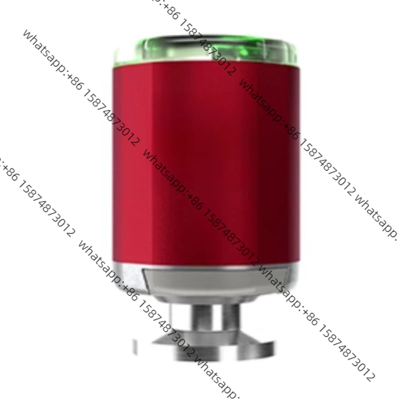 D1G1011100/Pirani V… - image