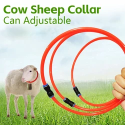 Livestock Cow Sheep Adjustable Grazing Collars Extra High Pressure Hose Anti-lost Collar Add Cattle Copper Bells Tracker