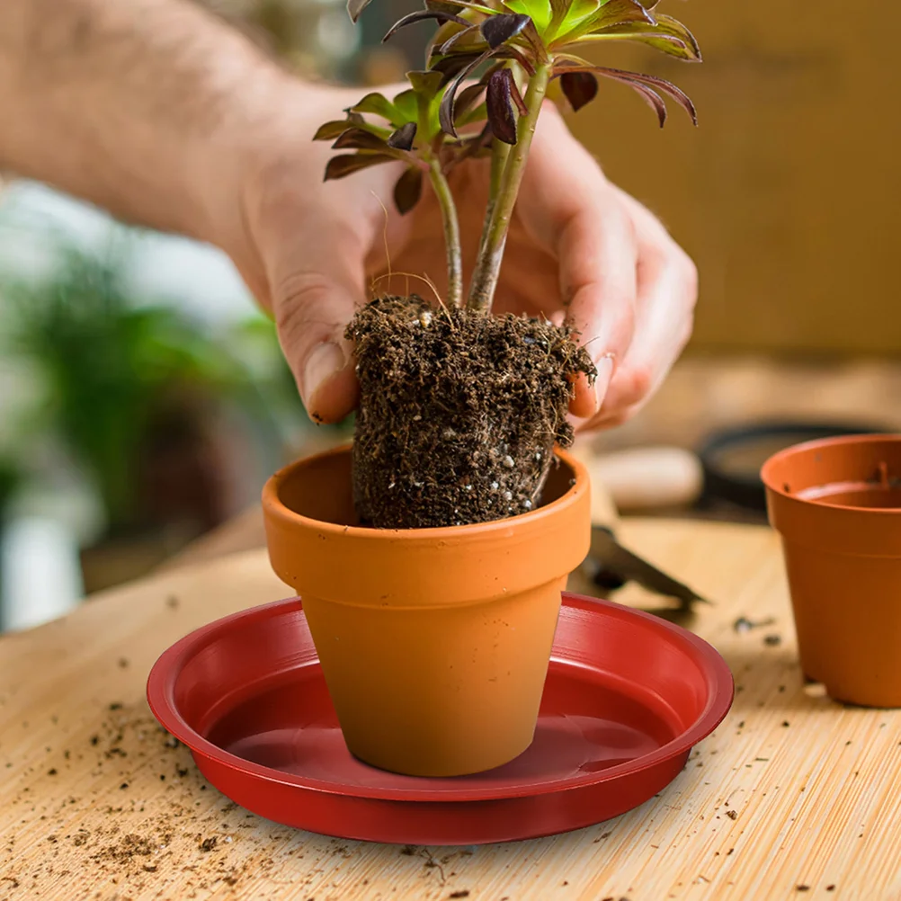 Bandeja de macetas para plantas de interior, platos de bonsái para atrapar agua, accesorios de Pp, platillos de flores, 10 piezas