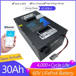 60V 30Ah Lifepo4 Battery with BMS for Electric Bicycle Bike Scooter Boat Industrial Equipment Tricycle + 5A Charger