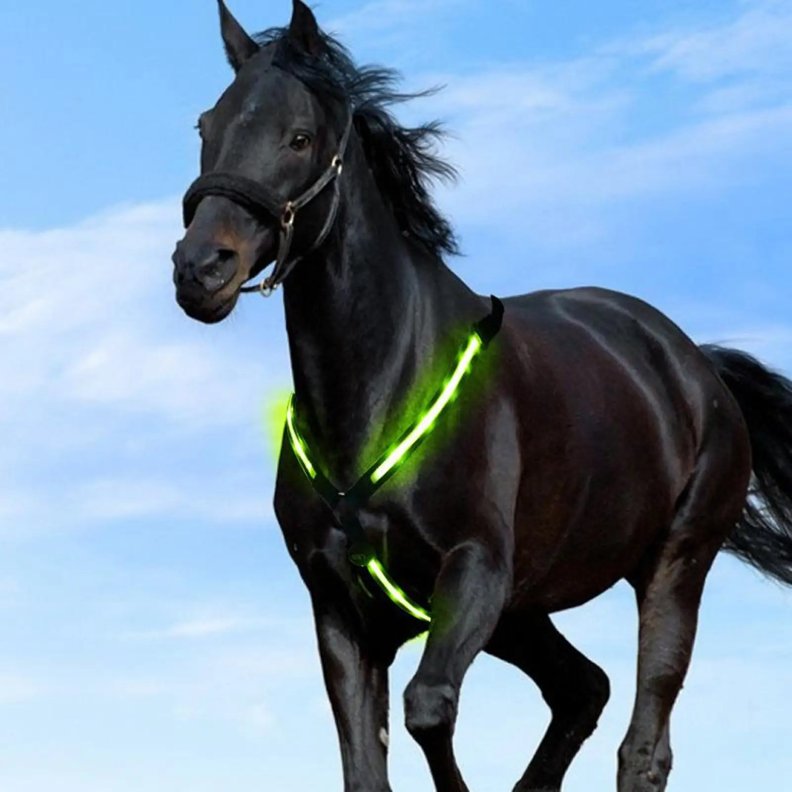 LED Horse Breastplate Collar Harness High Visibility Tack for Horseback Riding