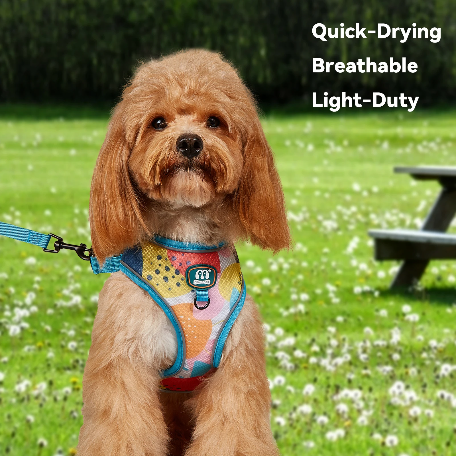 Latest Stylish Pet Harness And Leash Set Mesh Dog Harness Combo - Soft Adjustable Vest with Coordinating Leash