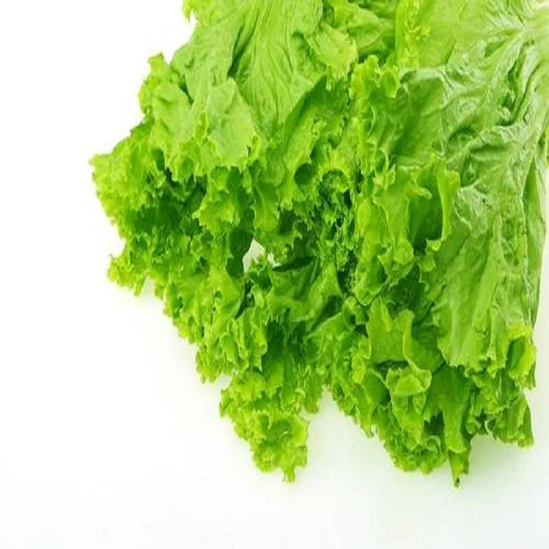 Mini Ice Cream Mach… - image