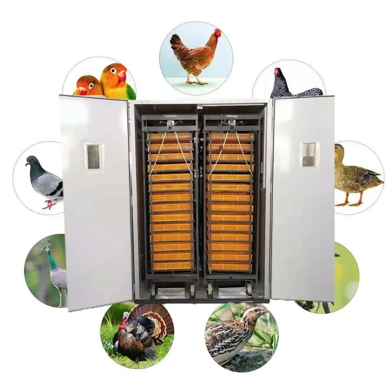 3 in 1 Hatcher Combined Incubator Automatic 9856 Chicken Eggs Incubator Setter High Productivity Hatching Machine Customized