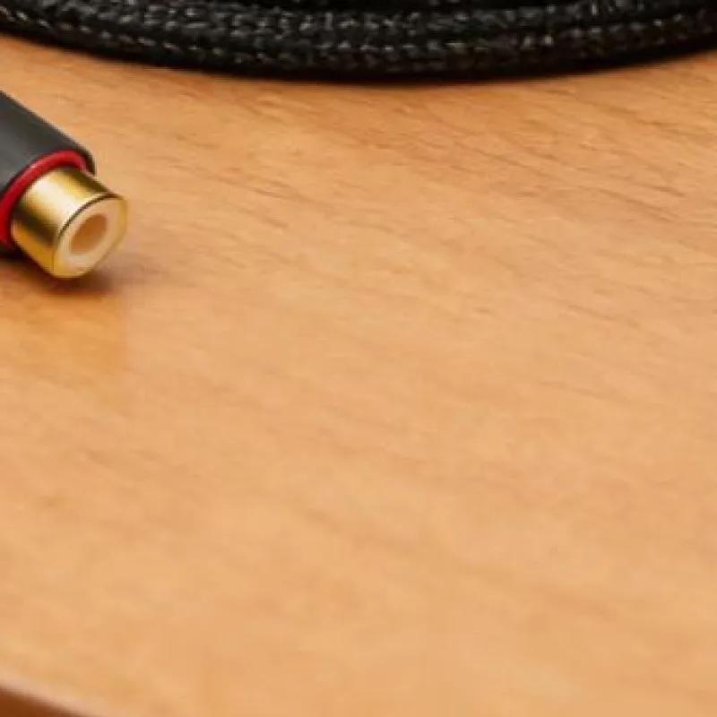 XLR Female To Dual RCA Female Y-Splitter Audio Interconnect Cable Micrphone Cable Parallel Connection Adapter for Speaker & Mic