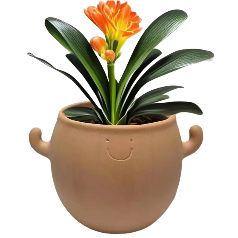 

ABWZ- Plant Pot Home Decoration Smiling Face Planter For Garden For Balcony Bonsai Yard Men Desk Workplace