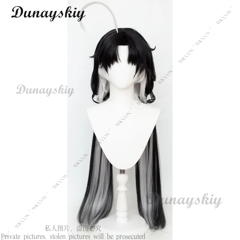 Wuthering Waves Lingyang Jiyan Rover Chixia Sanhua Cosplay Wig Only Wuthering Waves New Game Role Play Woman Man Halloween